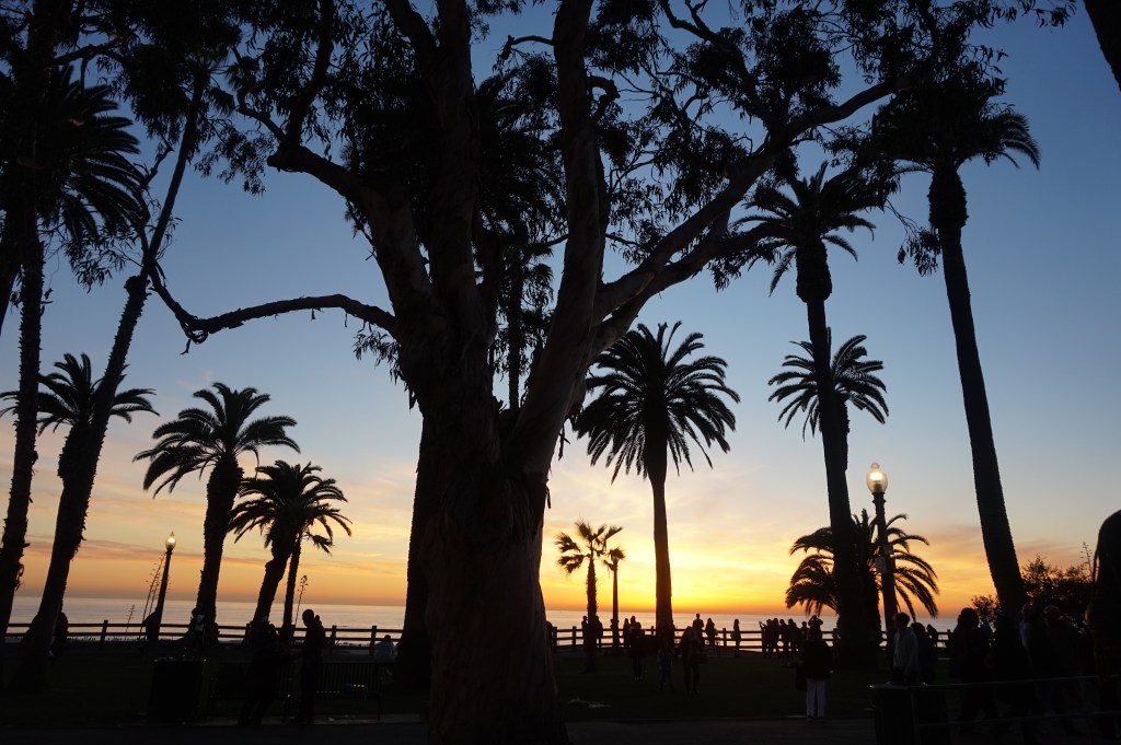 Dream Diaries: Weddings, Waves, and What It All&nbsp;Means