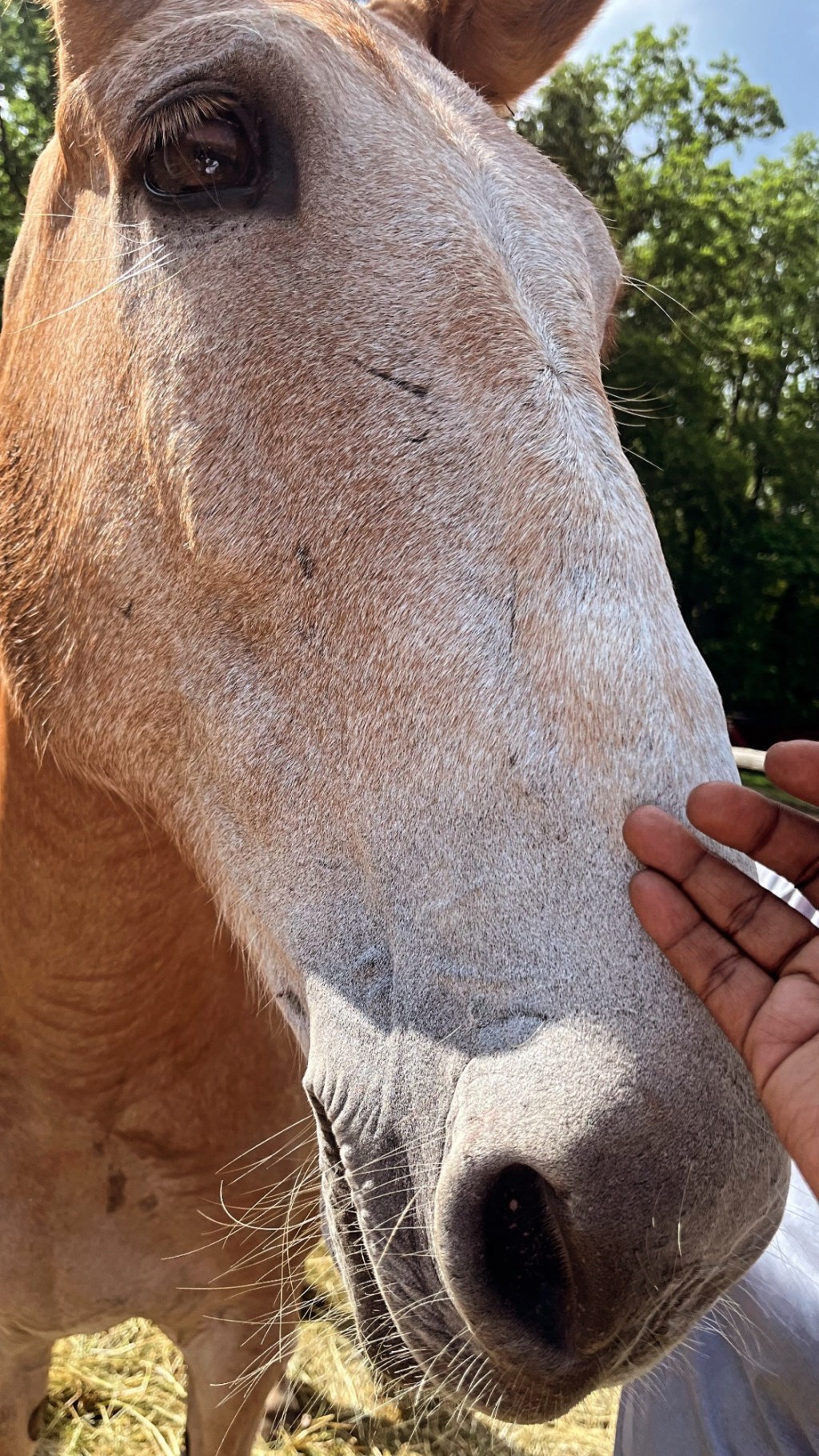 If I will never know me, how can&nbsp;you?